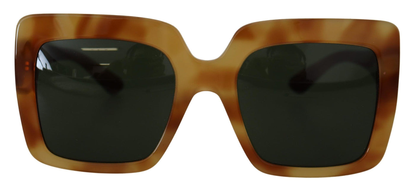 Brown Havana Camel Acetate Square Frame DG4310F Sunglasses